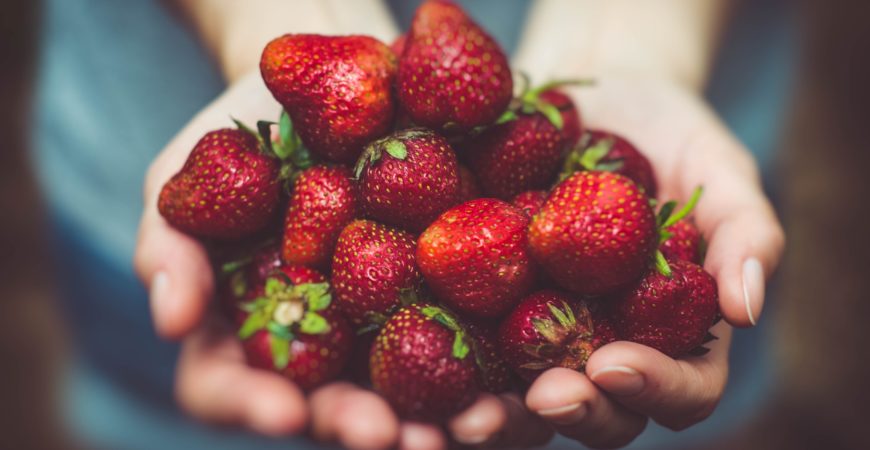 Fresas eco, sin pesticidas y con más vitamina C